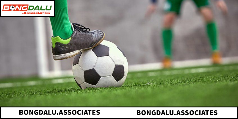 Hướng dẫn xem thông số và tỷ lệ cược